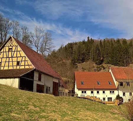 Gundershofen Muehlenchalet 빌라 외부 사진